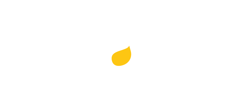 Logo Tandem Conseil blanc